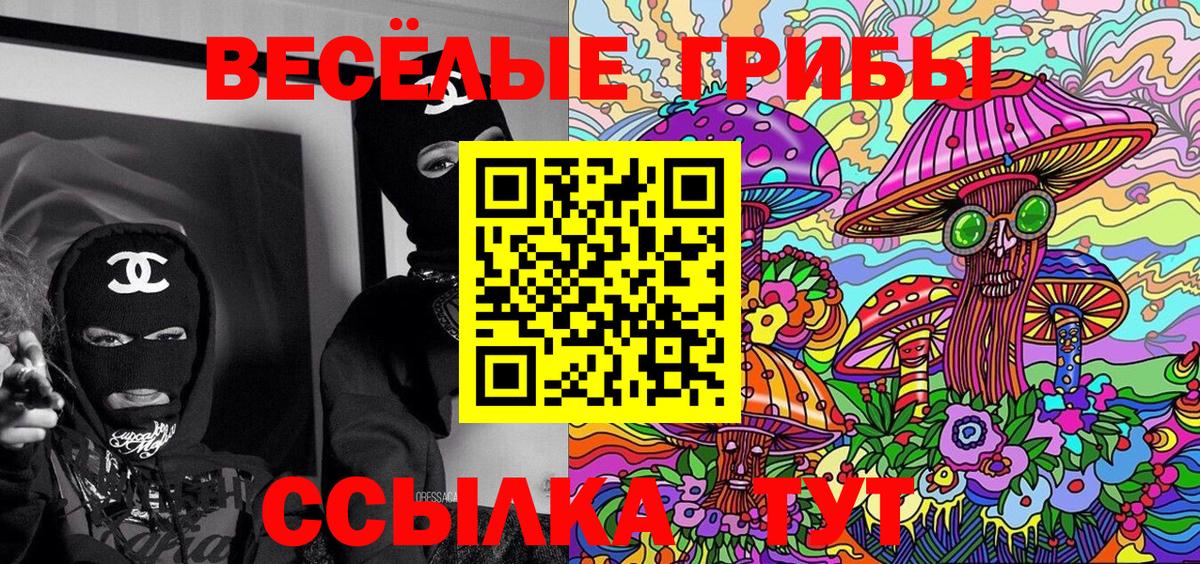 Псилоцибиновые грибы Psilocybe  Вход с VPN  Псилоцибиновые грибы мицелий  Верхний Уфалей 