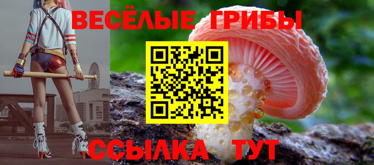 APVP Верхний Уфалей